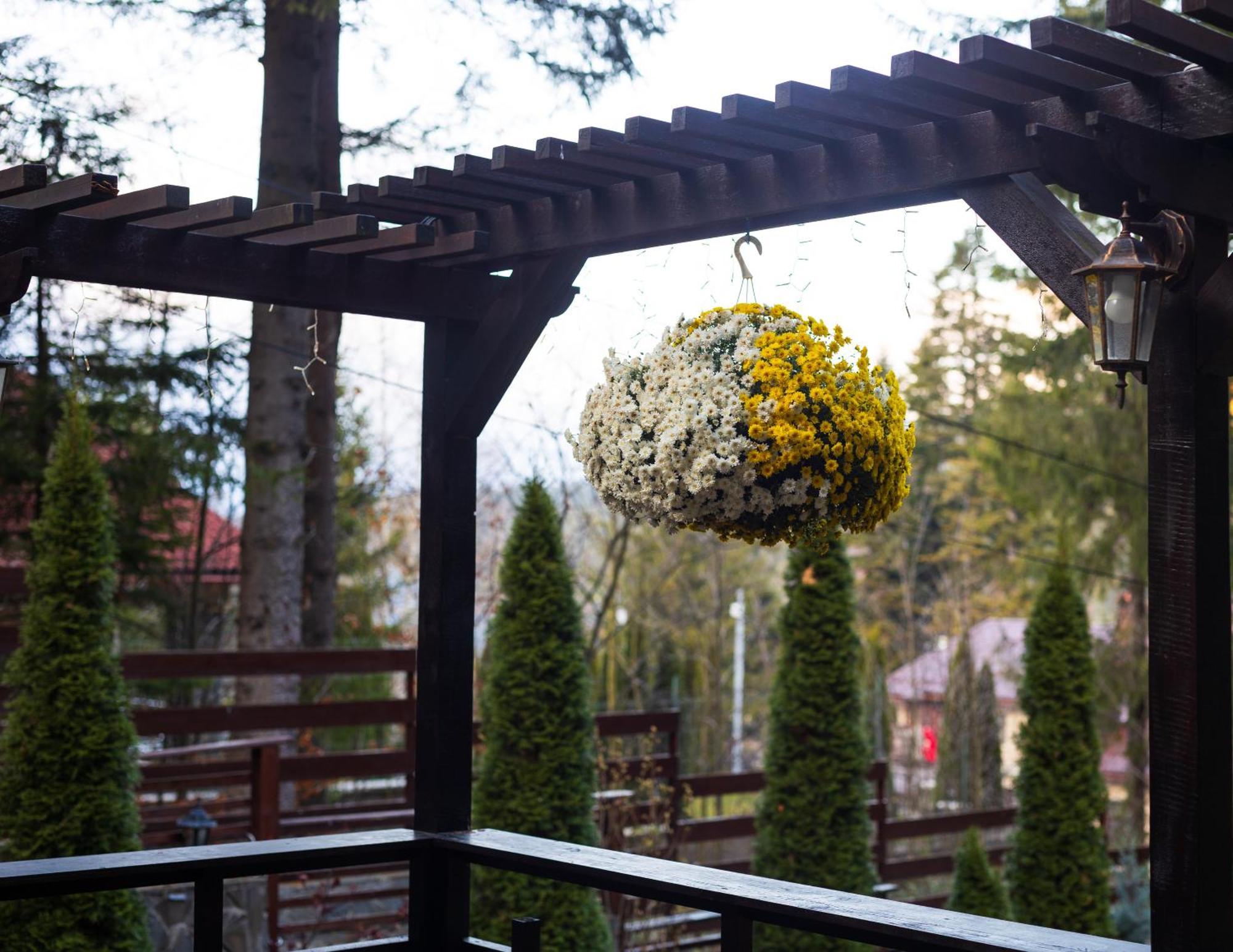 Impala Sinaia - Kudu Apartment Exterior photo